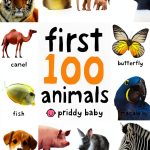 Priddy Books US First 100 Vocabulary & Spelling for Babies-0
