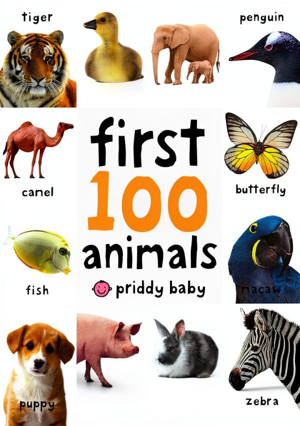 Priddy Books US First 100 Vocabulary & Spelling for Babies-0